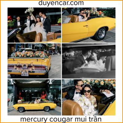 Mercury Cougar dịch vụ thuê xe hoa cổ điển tphcm