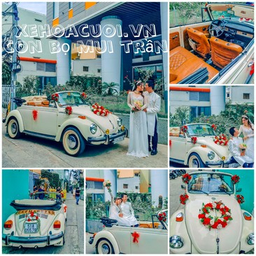 Xe Hoa Con Bọ Mui Trần Volkswagen