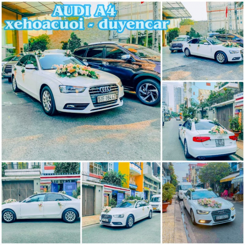 Xe Cưới Audi A4