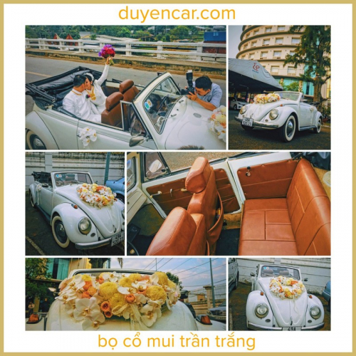 Xe cưới con bọ cổ mui trần rước dâu An Giang ngày 18/02/2023 - xehoacuoi.vn